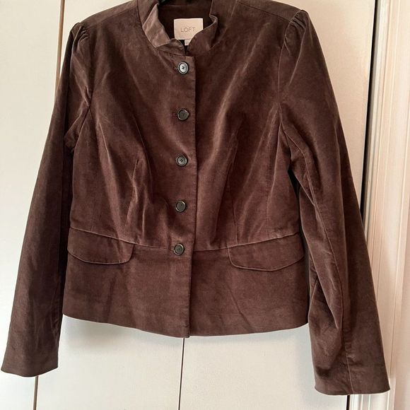 Ann Taylor LOFT Brown Velvet Jacket with Ruffle Collar - 12 - Picture 2 of 6